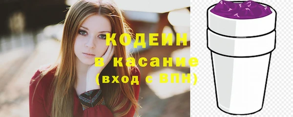 мдпв Каменка