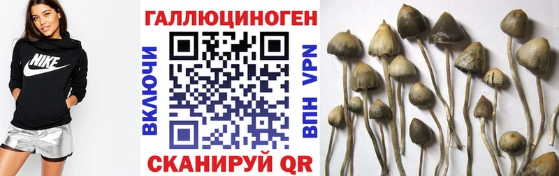 Галлюциногенные грибы мицелий Миасс